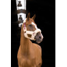 Halfter Equithème Teddy - Bordeaux / Ecru