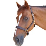 Halfter Privilege Equitation La Baule