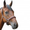 Halfter Privilege Equitation Royan - Braun