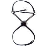 Kreuzbandnasenriemen Deauville Privilege Equitation