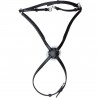 Kreuznasenriemen Royan Privilege Equitation - Schwarz