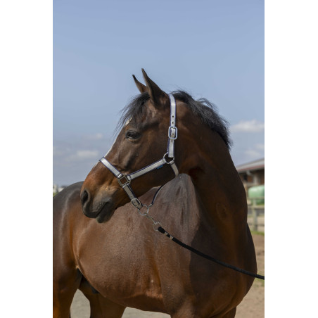 Norton Nylon Soft Halfter