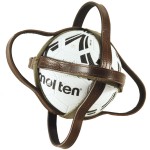 Horseball-Ball Privilege Equitation