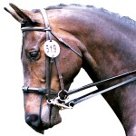 Nasenschutz gegen Scheuern Equilibrium