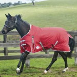 Weatherbeeta ComFiTec Classic 220 g Decke