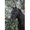 Bridon Riding World Französischer Nasenriemen - Schwarz