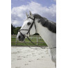 Bridon Riding World Kreuzzaum - Schwarz