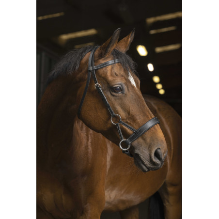 Seitenzieh-Norton Pro Komfort