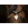 Frontal Excelsior V Diamant - Schwarz