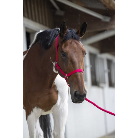 Halfter- und Führstrick-Set Club