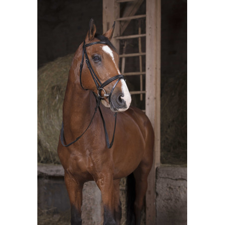 Gummizügel Norton Pro