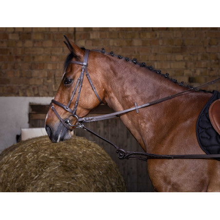 Gummizügel Riding World