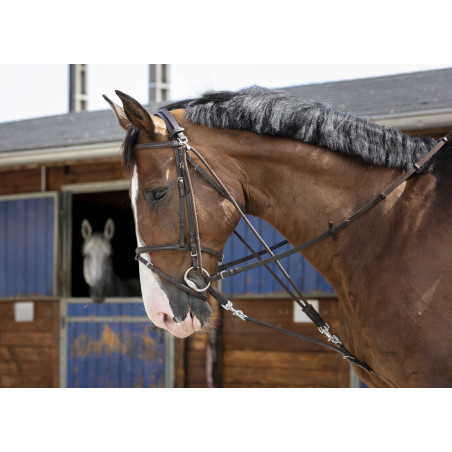 Flaschenzug Gogue Riding World