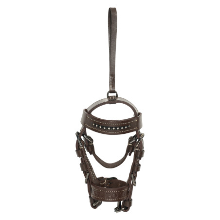 HV Polo Legacy Trensencharm Anhänger