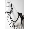 Brustblattmartingal mit Vorderzeug Horze Hampstead - Schwarz