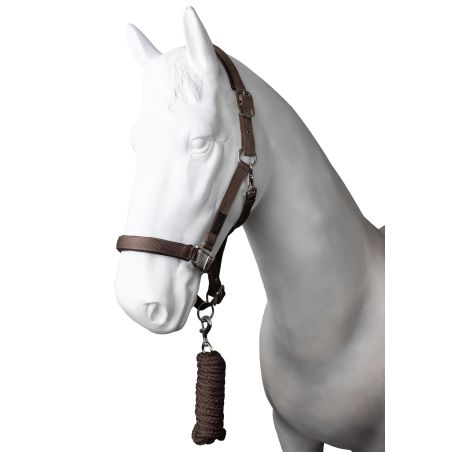 Halfter und Führstrick Horze Lucca