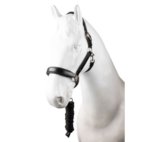 Lederhalfter mit Strick Horze Dynasty Set