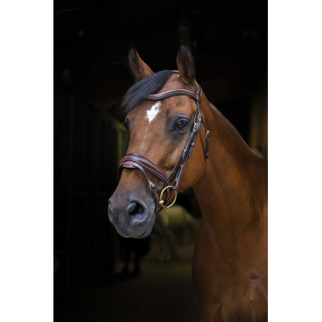 Zaumzeug Eric Thomas Pro Design