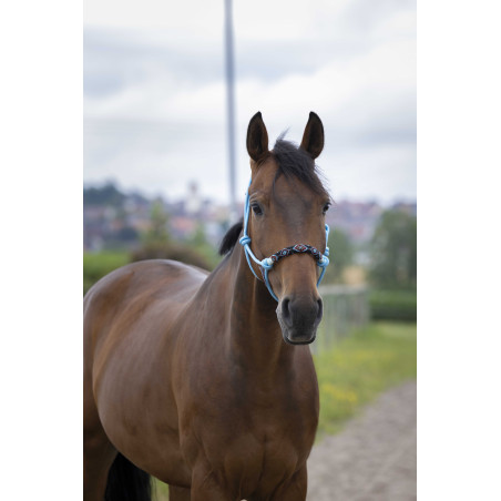 Ethologisches Halfter Norton Pearl