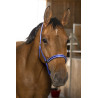 Norton Reflektierend Halfter - Blau