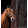 Nylonhalfter Equithème Domino - Blau