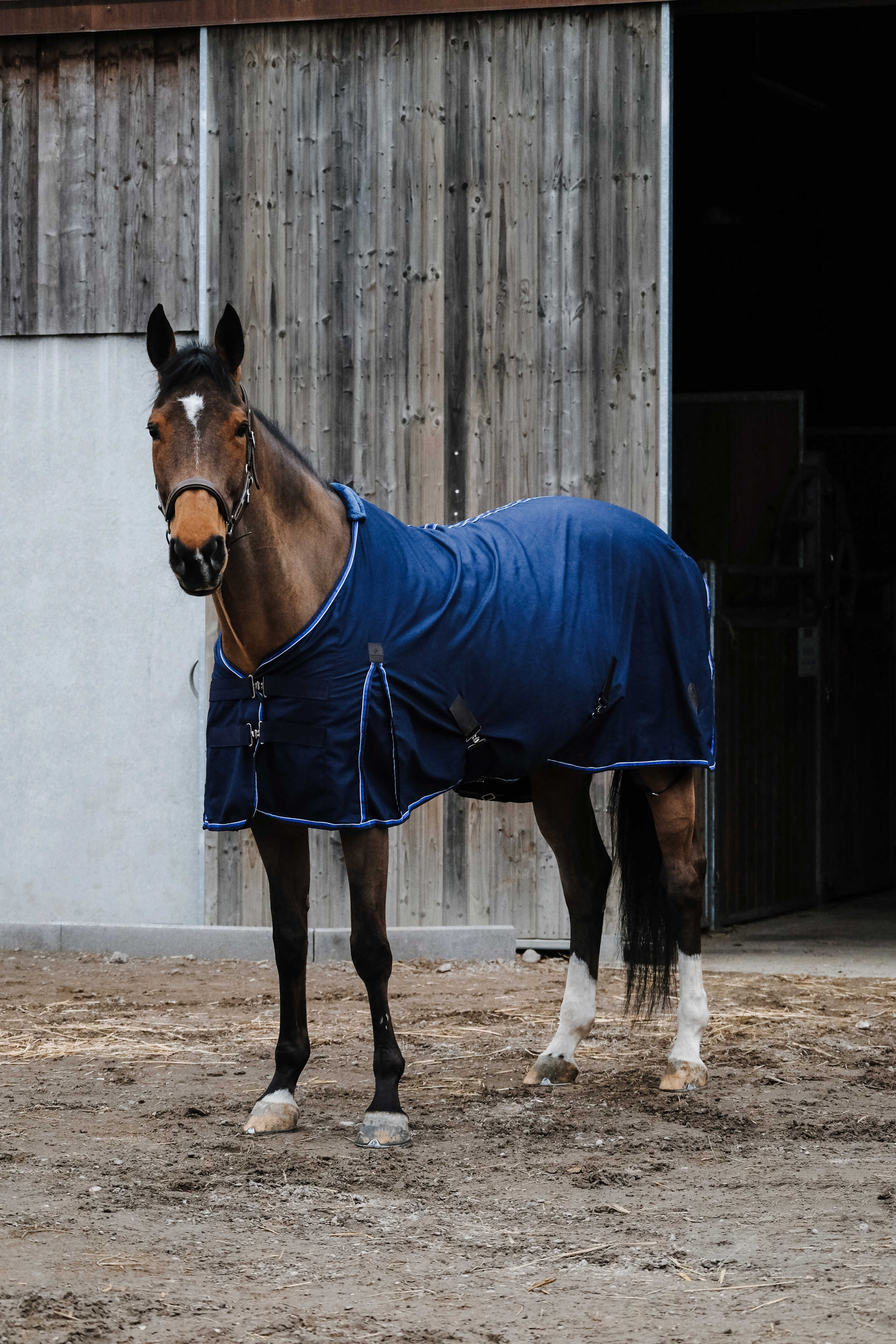 Polycotton-Hemd Equithème Classic Marineblau Polycotton-Hemd Equithème Classic Marineblau