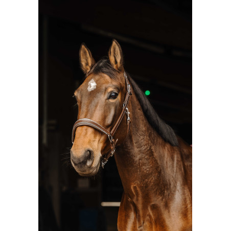 Lederhalfter Norton Rock