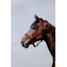 Reithalfter Riding World Cushion - Rot