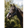 Nylonhalfter Equithème Protector - Schwarz