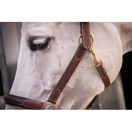 Lederhalfter mit 3 Karabinern Paddock Sports