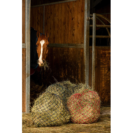 Heunetz Hippotonic Zari