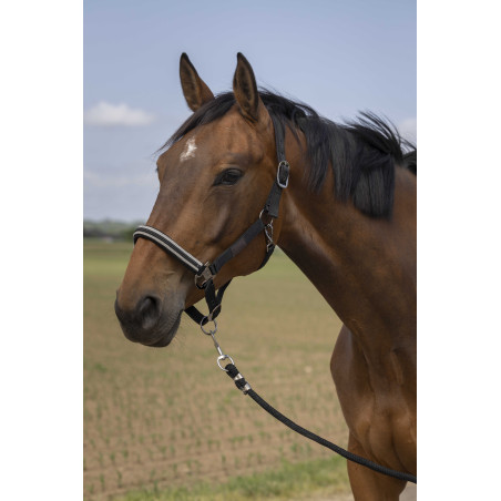 Halfter Equithème Nylon Chevron