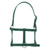 Fohlenhalfter Riding World - Dunkelgrün