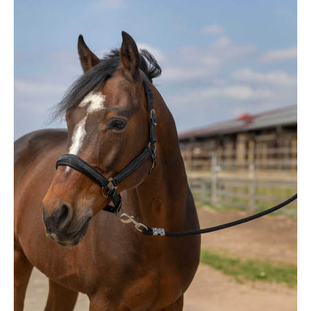 Halfter Equithème Nylon Strass