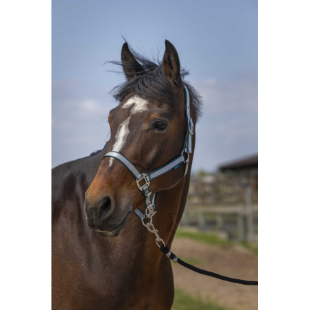 Norton Nylon Soft Halfter
