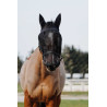 Halfter + Maske Equithème - Schwarz