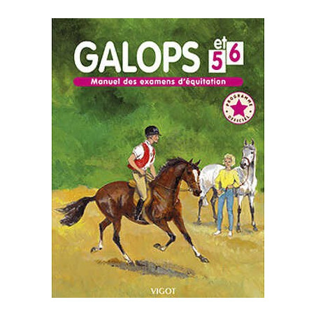 Galopp 5 und 6