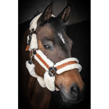 Pénélope Soft Halfter