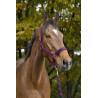 Halfter + Führstrick Equitheme Satiniert - Marine / Fuchsie