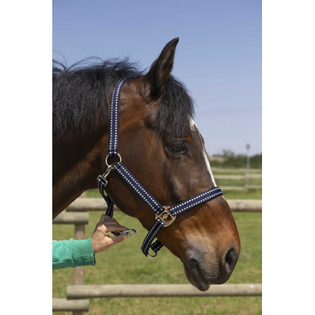 Halfter Norton Grooming