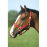 Halfter Equithème Nylon - Rot