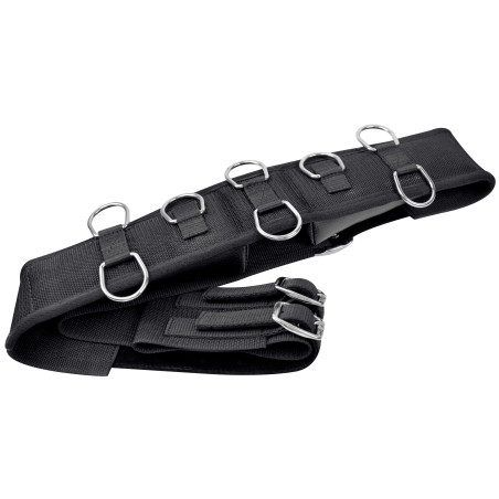 Arbeitslonge Riding World synthetisch