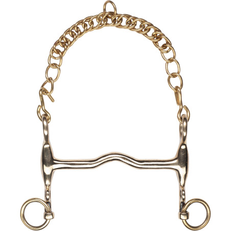 Mors L'hotte Feeling Cyprium kurze Äste