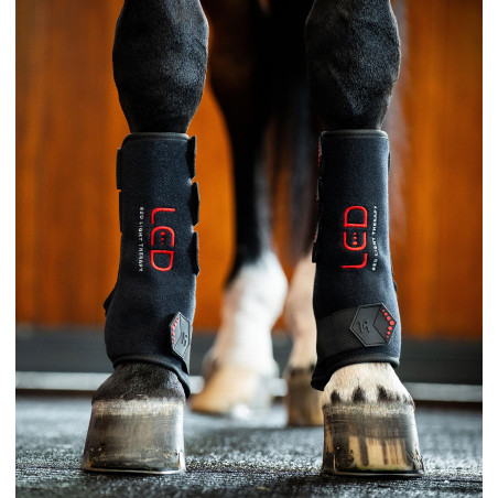 Therapie-Gamaschen von Horseware mit rotem LED-Licht