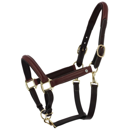 Norton Spring geöltes Leder-Putzhalfter