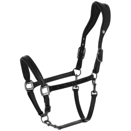 Norton Anatomisches Halfter Crystal