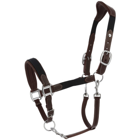 Norton Dualy Halfter