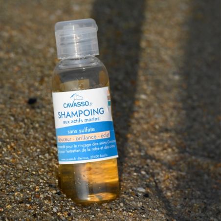 Cavasso Shampoo