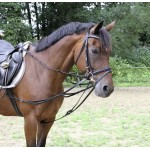 Triangleförmige Zügel Covalliero