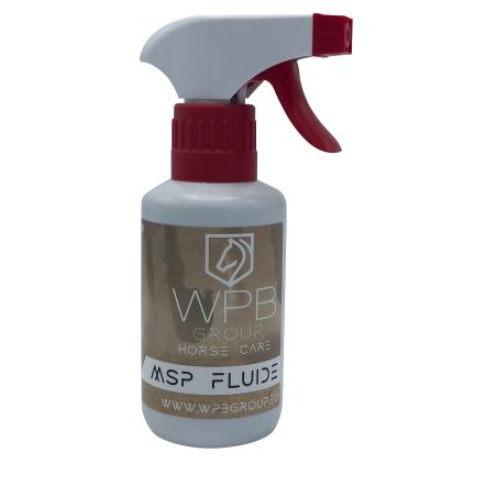 MSP Fluid WPB Gruppe